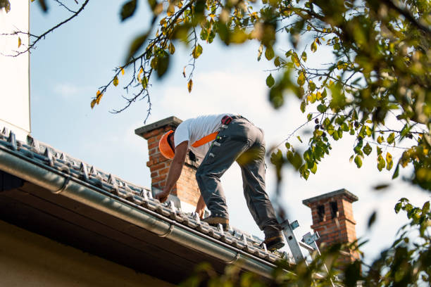 Best Commercial Roofing Services  in Wendell, NC
